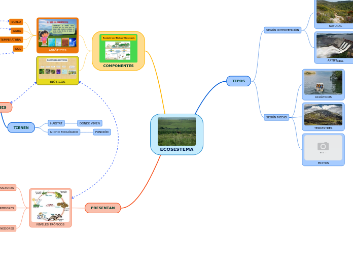 ECOSISTEMA Mind Map